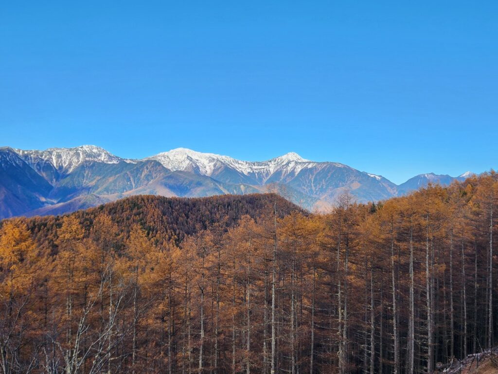 20251112 084732_名取やすし