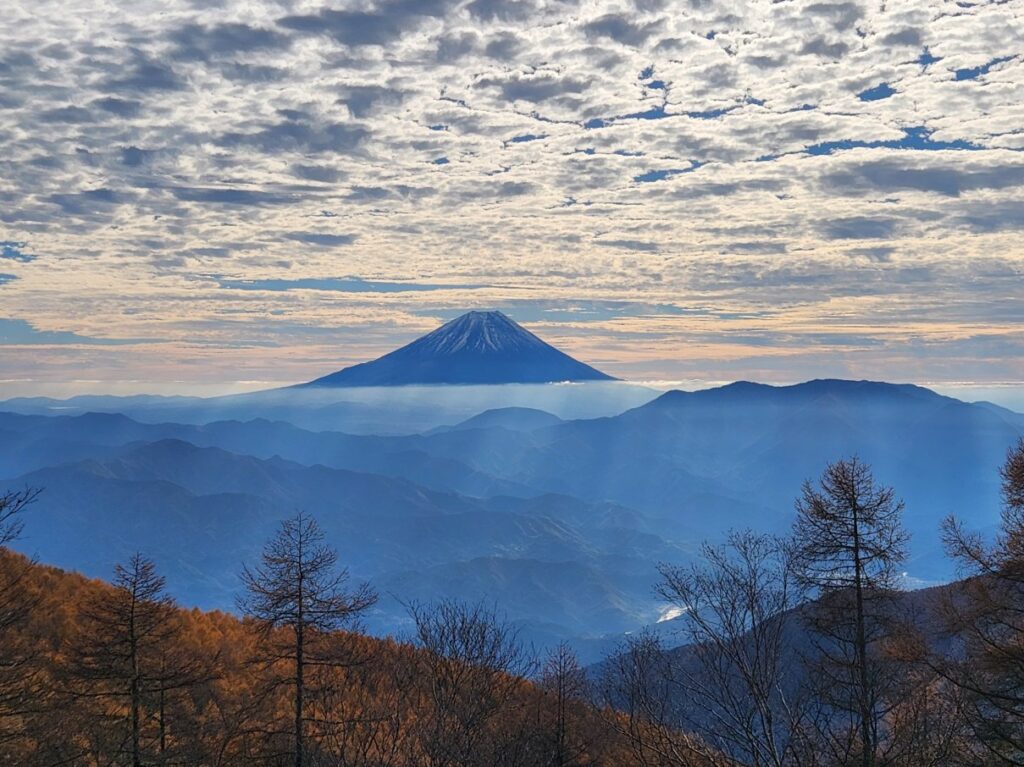 20251112 085854_名取やすし