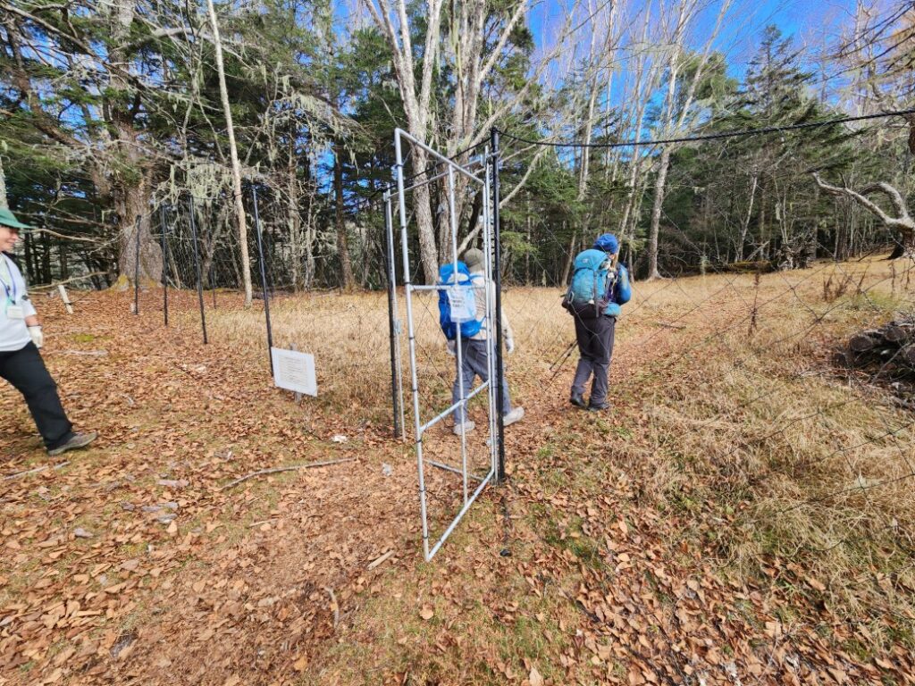 20251112 090243 1_名取やすし