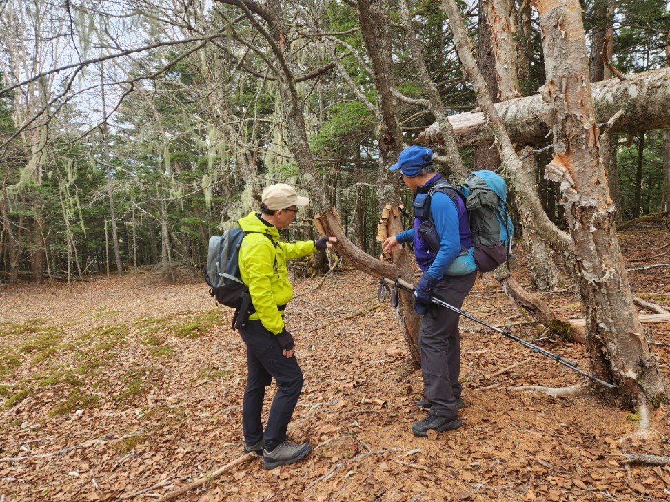 20251112 102533_名取やすし