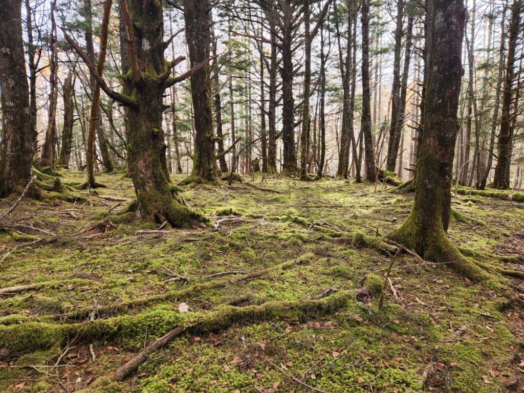 20251112 134657_名取やすし