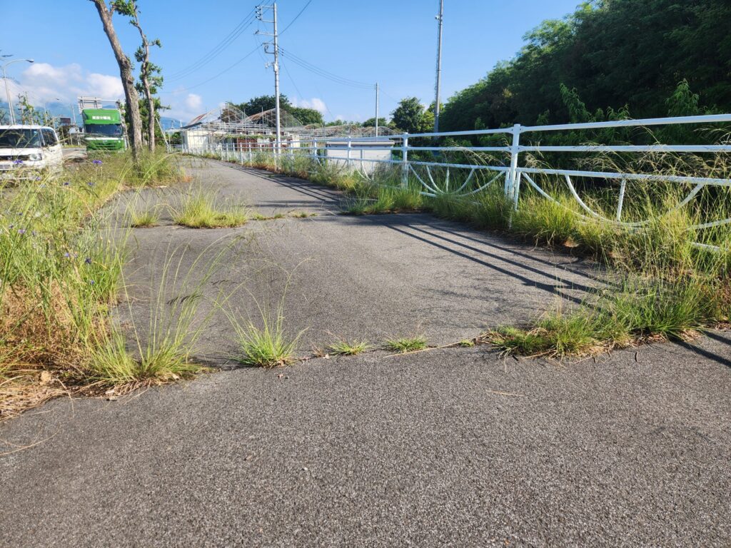 20260514 074349_名取やすし